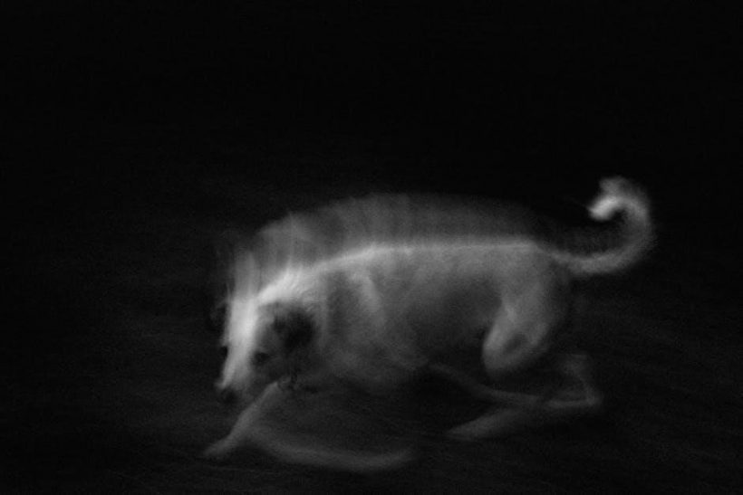 is chase at class action guide legitimate