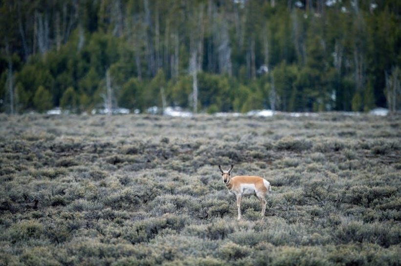 stanley fatmax 700 instruction manual