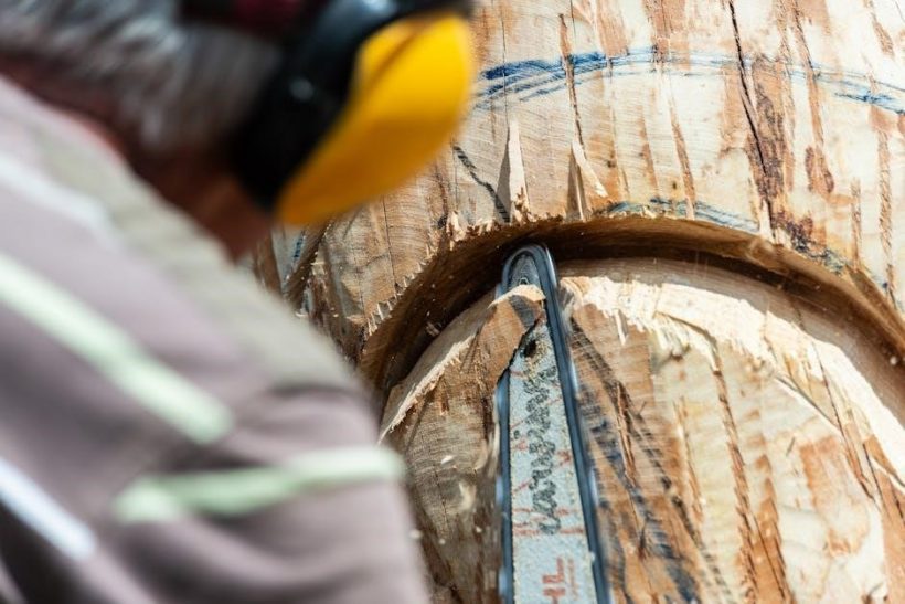 craftsman 18 inch 42cc chainsaw manual