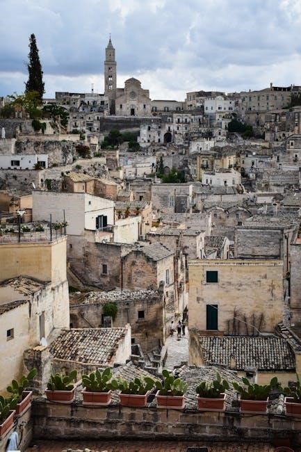 sassy saints brow lamination instructions