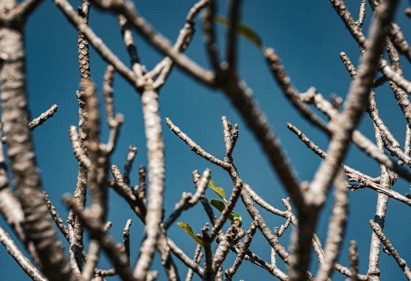 pmbok guide 6th edition pdf free download