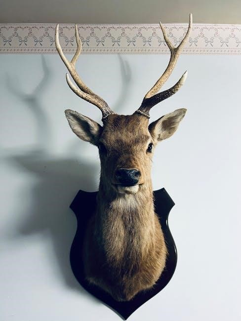 kakarot trophy guide