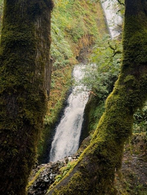 tv guide klamath falls oregon