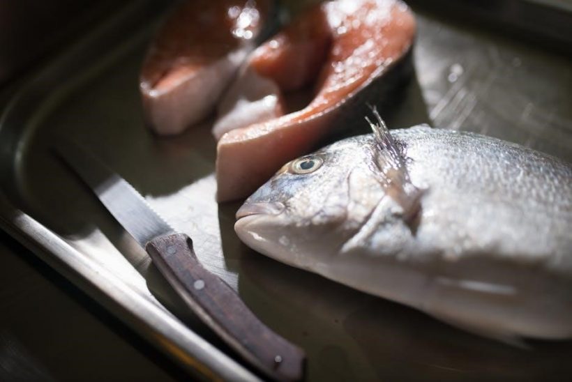 blood type b positive diet food list pdf